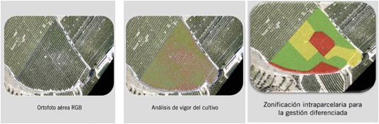 agricultura de precision con drones